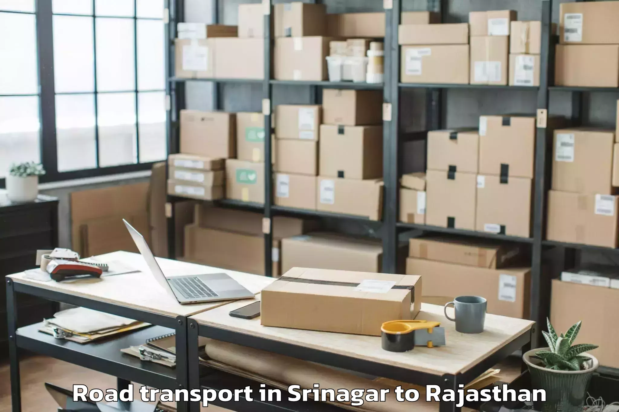 Professional Srinagar to Madanganj Kishangarh Road Transport